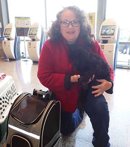 FlyingTespup FlyingTespup