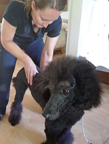 chiropracticDrAngela02