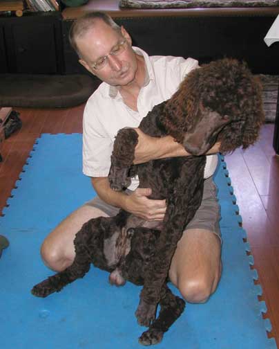 chiropracticcarestandardpoodles32max