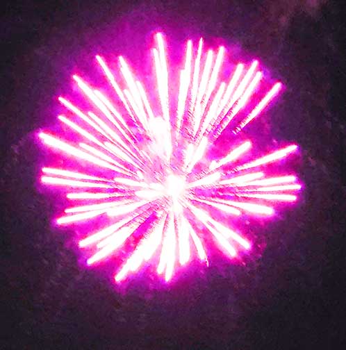 cognitionlight cognitionlight