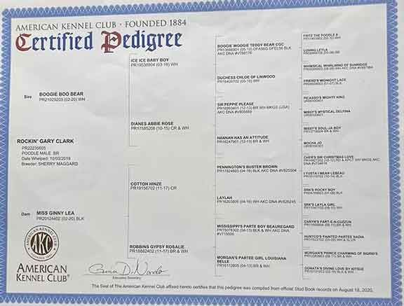 gary-good-pedigreejpg