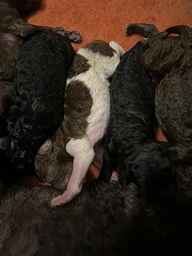 hinata0day.jpg hinata0day.jpg