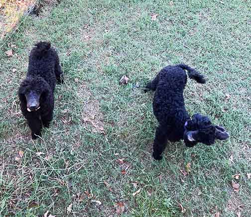 hinatawatchingoverfromabove